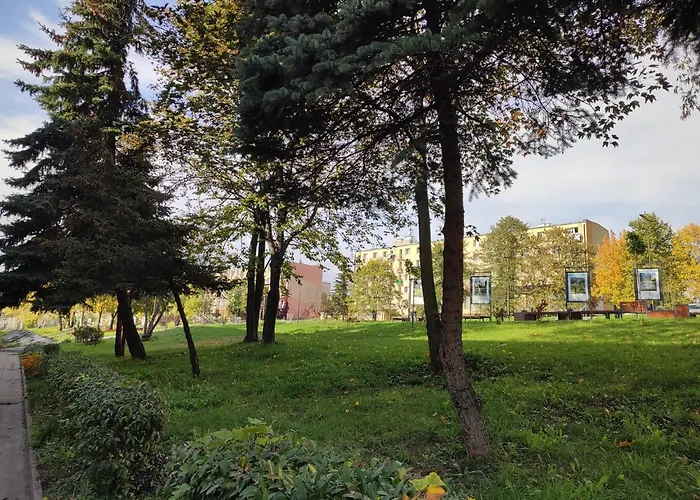 Szare Miraze